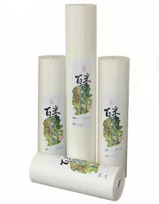 100m Roll Chinese Writing Brush Calligraphy / Painting Fine Xuan RIce Paper   • $45.71