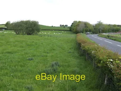 £2 • Buy Photo 6x4 Sheep Pasture By Lissan Road Cookstown/H8078  C2007