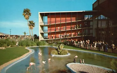Postcard CA Marineland Of The Pacific Flamingo & Penguin Pool Vintage PC E6880 • $2