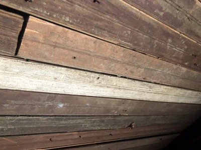 $2500 • Buy 500sq Ft Reclaimed Bead Board Pieces, Architectural Salvage Vintage In Stock Too
