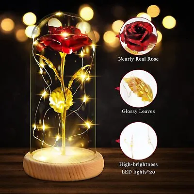 $25.89 • Buy Enchanted Rose Eternal Flower LED Lights Glass Dome Valentine's Day Women Gifts