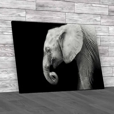 Baby Elephant Canvas Print Large Picture Wall Art • £14.95