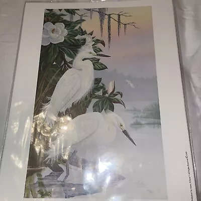 Marty Wilson Snowy Refuge Art Print • $60