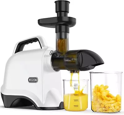 Juicer Machines Slow Masticating Juicer Cold Press Juicer For Fruits & Vegetable • $59.99