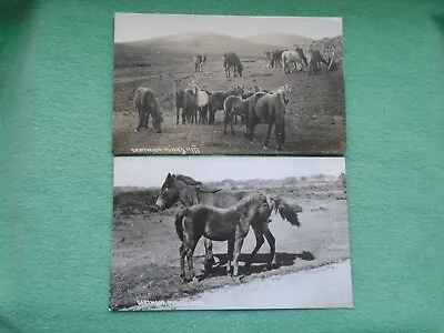 2 Postcards Of Dartmoor Ponies • £2