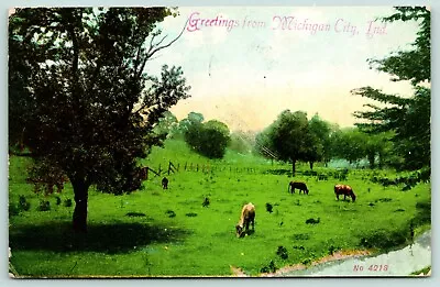  Greetings  From Michigan City Indiana~Starved Cows Graze In Field~Creek~1908 PC • $6