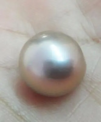 $38 • Buy  Natural 11-12mm South Sea Genuine Gold Lavender Purple Loose Pearl Undrilled