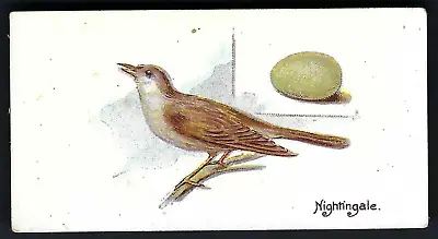 Lambert & Butler - Birds And Eggs - #5 Nightingale • £4.50
