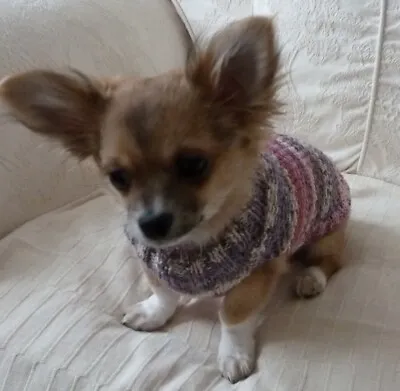 £7.99 • Buy 8  Hand Knitted Fairisle Chihuahua  Puppy Small Dog Tea Cup. Jumper Coat.