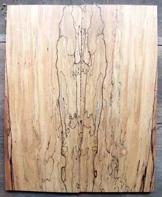 Figured Spalted Ink Line Rock Maple Drop Top .39  Thk Guitar Bass Tonewood 2307 • $59.99