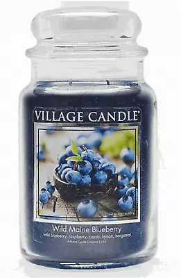 Village Candle Wild Maine Blueberry Large Glass Apothecary Jar Scented Candle • $36.81