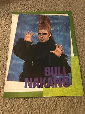 Vintage 1990 WWF BULL NAKANO Women Japan Wrestling Pinup Photo WCW • $5.99