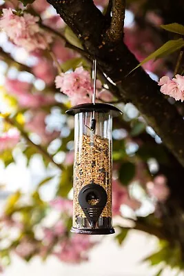 Garden Seed Bird Feeder Hanging Metal Premium Hammertone Treats Feed Outdoor • £5.99