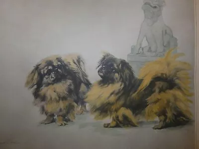 Maud Earl Large Print Pekingese Dogs Vintage Litho “Royal Ancestry” 18x24 • $50