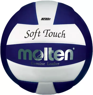 Soft Touch Volleyball • $66.08