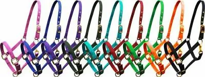 Triple Ply Nylon Halter W Brass Hardware & Clip COB  Or HORSE Size 6634C 6634H • $14.68