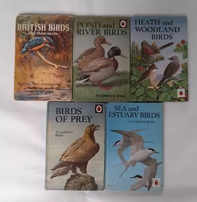 Vintage Ladybird Books About Birds Series 536  Please Select Your Own Title • £6.50