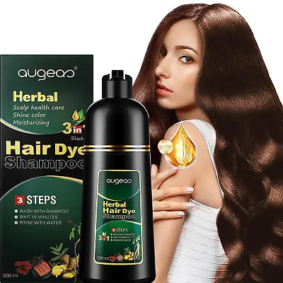 Hair Dye 500ml Instant Fast Hair Dye Color Shampoo Herbal Coconut Dye Birthday  • $18.99