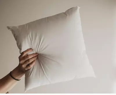 Pacific Coast Homespun Polyester Pillow Form 20  X 20  • $29.99
