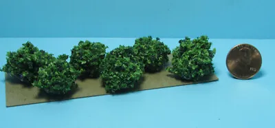 Dollhouse Miniature Outdoor Border Plants Shrubs Green Set Of 6 CABLP06 • $6.29