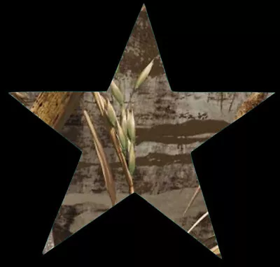 Star Decal - Five Point Star Sticker - Select Camouflage Pattern And Size • $5.52