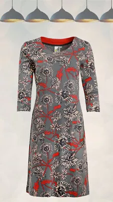 £19.99 • Buy Ex Weird Fish Women’s ¾ Sleeve Starshine Jersey Dress In Cement