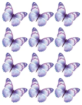 Edible Toppers & Décor For Cakes & Cupcakes -   Purple/Blue  Butterflies • £2.75