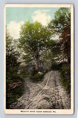 Mercer PA-Pennsylvania Beauty Spot Antique Vintage Souvenir Postcard • $7.99