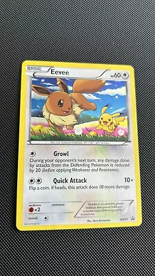 Pokémon TCG Eevee Black & White BW97 Holo Promo • £40