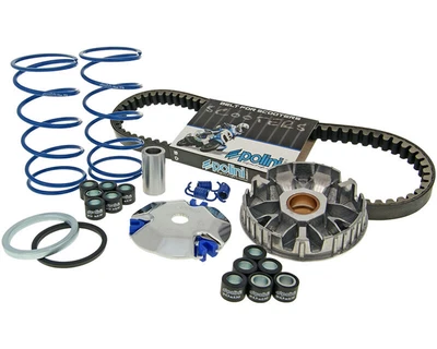 $167.58 • Buy Italjet Pista 50  Polini HS Variator Kit Rollers Drive Belt