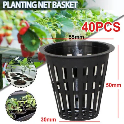 40pcs Mesh Hydroponics Plant Grow Net Cup Mesh Pot Basket Aeroponic Aquaponic • £7.99