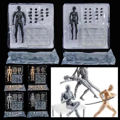 Male Female Anime Figure Movable Action Figure Toy Body Chan Joint  Sketch Draw • $28.02