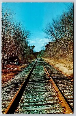 Cape Cod Massachusetts Railroad Tracks Scenic New England Chrome Postcard • $3