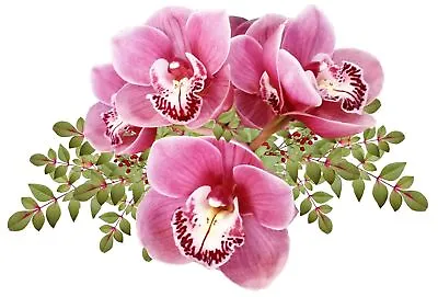 Pink Orchid Flowers Decals Kids Nursery Bedroom Birthday Wall Vinyl Sticker A392 • £2.49