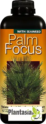 Palm Focus Plant Food 1 Litre • £10.95