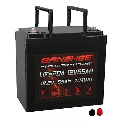 Banshee 12V 55Ah LiFePO4 Lithium Battery Rechargeable 3000 Deep Cycle • $258.88
