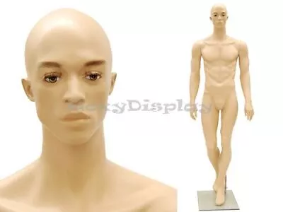 Realistic Male Mannequin Dress Form Display #MC-MIK07F • $259