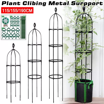 Outdoor Garden Metal Obelisk Climbing Plant Tubular Cage Support Frame Trellis • £12.99