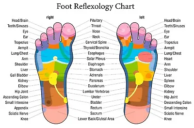 $8.95 • Buy Foot Reflexology Chart Poster Print Choose Your Size Unframed.
