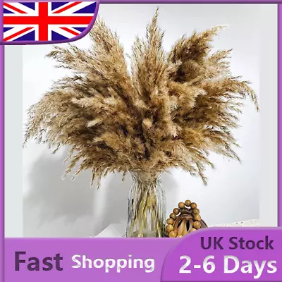 12 PCS Pampas Grass Natural Dried Flowers For Vase Bouquet Home Decor 4 Colours • £4.79