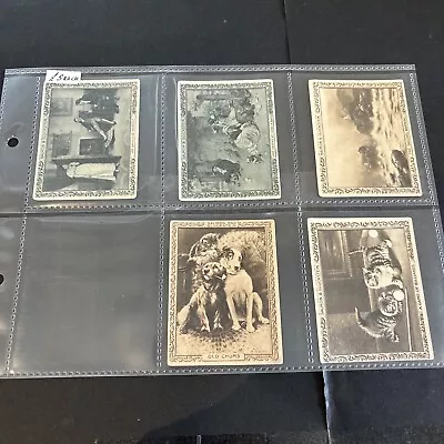 SALMON AND GLUCKSTEIN  FAMOUS PICTURES Mixed Backs X6 Scarce Cards VG Cond • £4.99