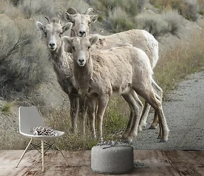 $185.60 • Buy 3D Bighorn Sheep D020 Animal Wallpaper Mural Self-adhesive Removable Wendy