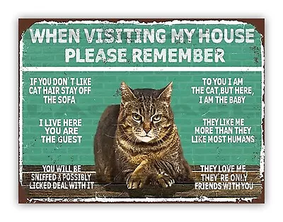 Funny Cat Aluminium Metal Sign Pet Kitchen Garden Room • £4.99