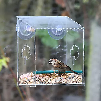 Window Bird Feeder Seed Peanut Mealworm Suction Cups Perspex Clear Clover Design • £9.79