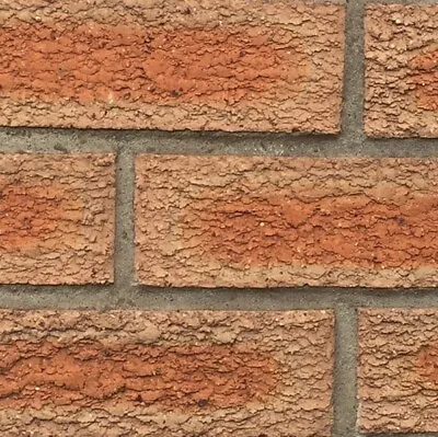 Raeburn Buff Red Facing Brick Wire Cut Edgemoor House Bricks Patio Wall Blocks • £2