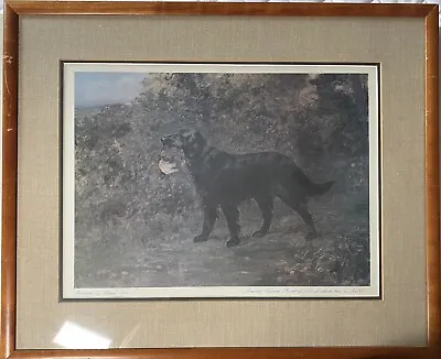 FLAT COATED RETRIEVER Limited Edition PRINT By Famous Artist MAUD EARL 40/500 • $55