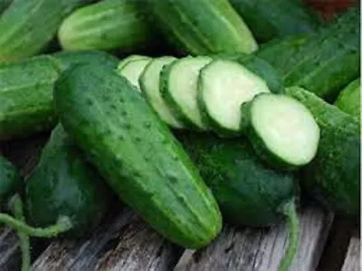 Premium Boston Pickling Cucumber - Fresh Heirloom Seeds - Most Popular Variety! • $1.99