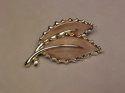 Vintage Sarah Coventry  Wooded Beauty  (1968) Brooch • $1.99