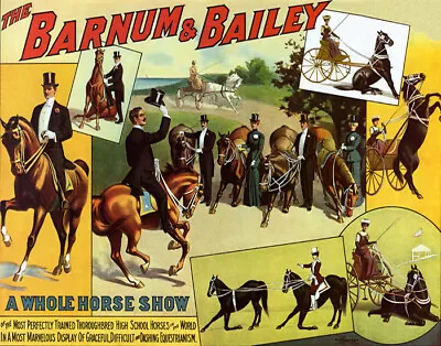 Poster Horse Show Equestrianism Horseback Riding Circus Vintage Repro Free S/h • $19.95