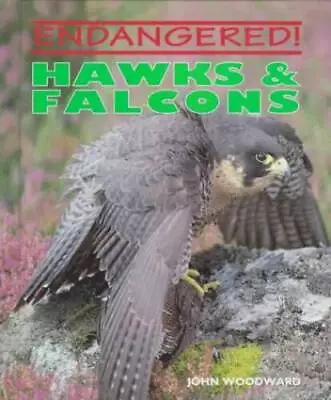 Hawks  Falcons (Endangered) - Hardcover By Woodward John - GOOD • $6.45
